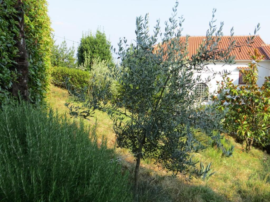 Villa Luppo Ičići Zewnętrze zdjęcie